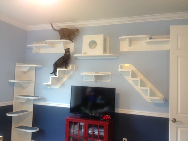 cat wall system