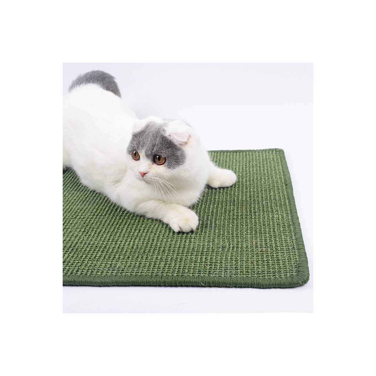 play mat for cats