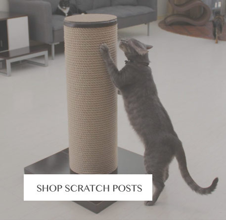 Shop Cat Scratching Posts
