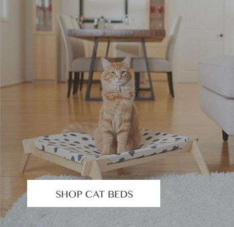 Shop Cat Beds