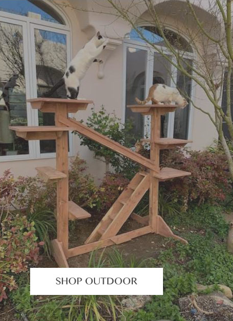 Shop Outdoor Cat Furniture