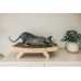 Edison Modern Wooden Cat Scratcher