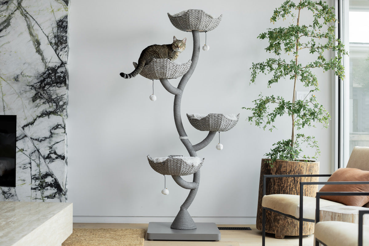 The Iverson Luxury Wood & Woven Cat Tree for Large Cats - 243 ...