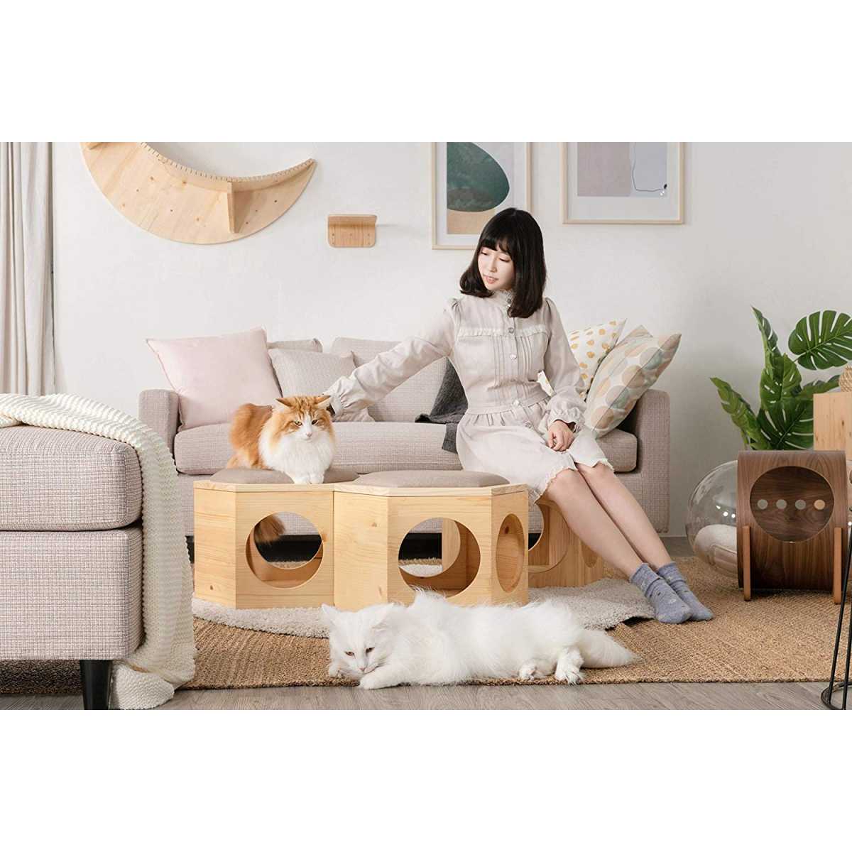 mini cat chair