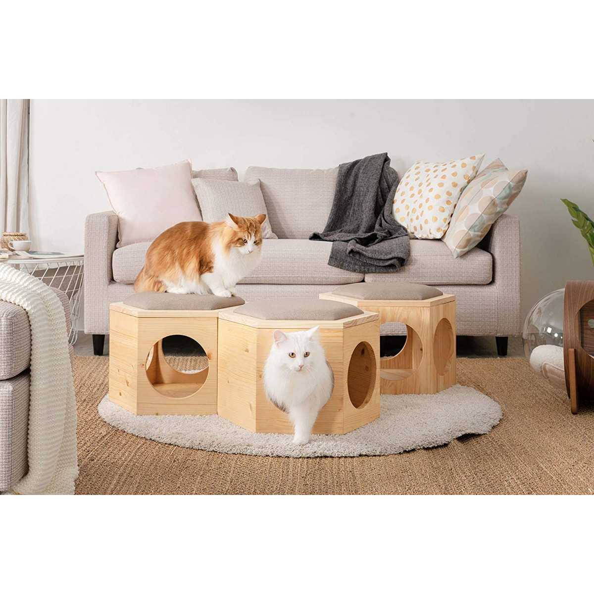 Busy Cat Floor Cat Modular Unit + Chair Plate Cushion - CatsPlay Superstore
