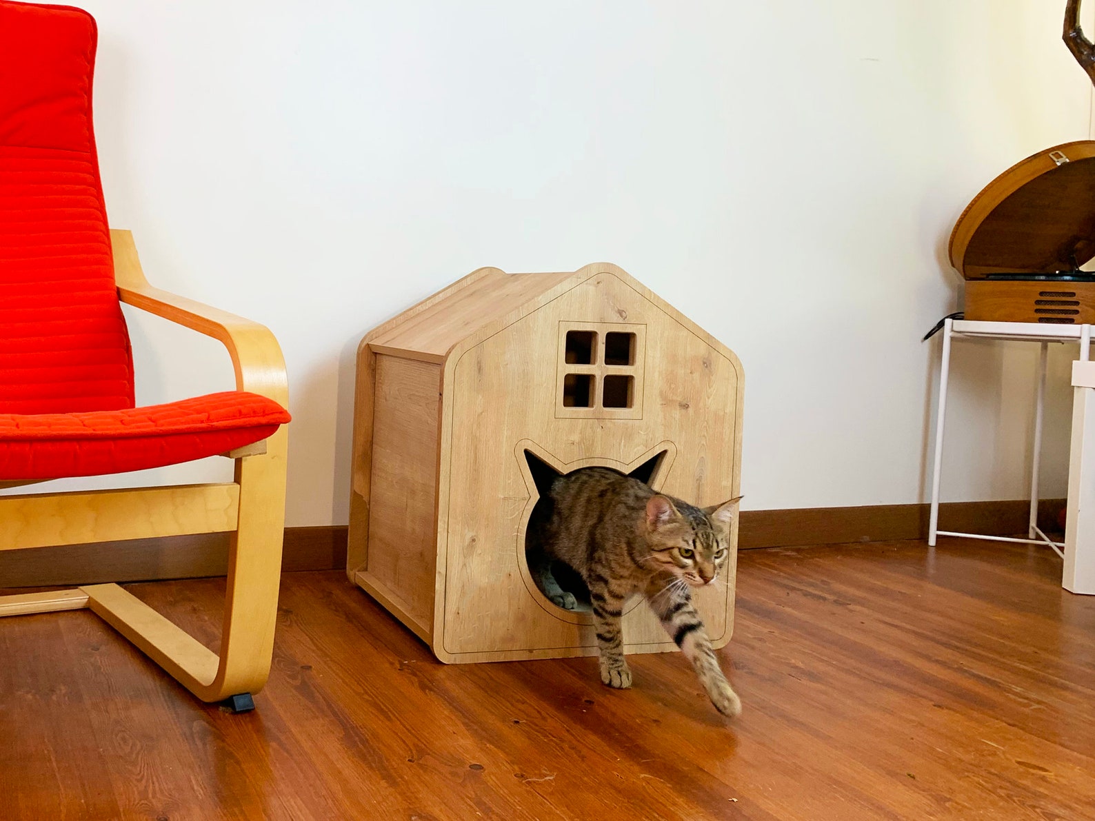 Cute Cat House with Decorative Window and Door - 8682538314167 ...