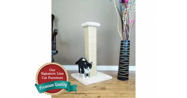 Cat s Choice 32 inch Solid Wood Scratching Post 110088 CatsPlay Superstore