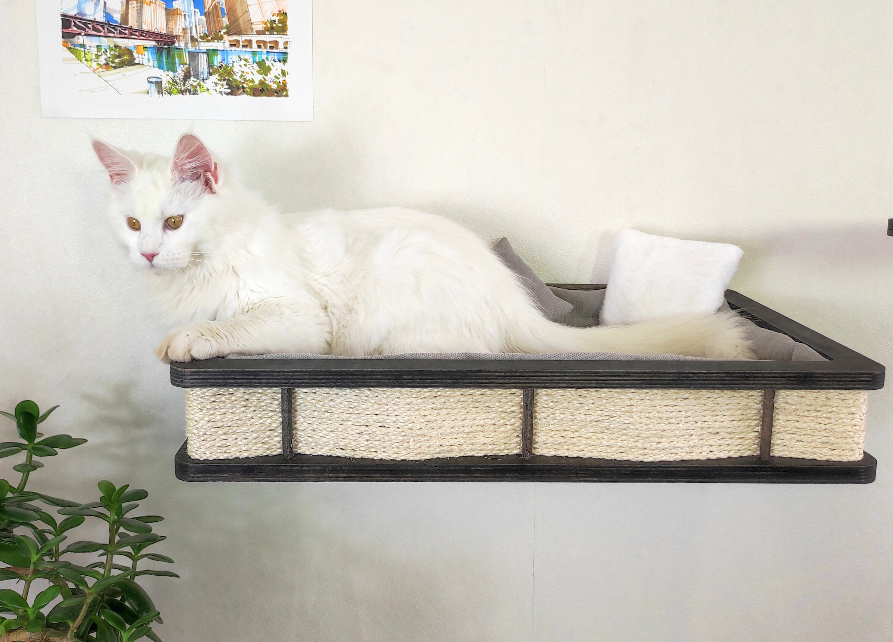 Large Wall Shelf Bed for Big Cats with Pillows and Side Couch - 244 ...