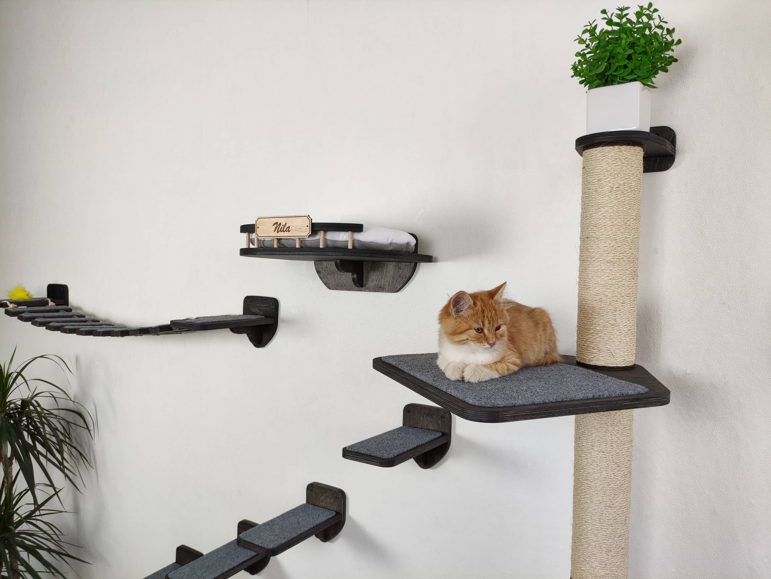 Bony Deluxe Cat Wall Mounted Lounge & Climb System - CatsPlay Superstore