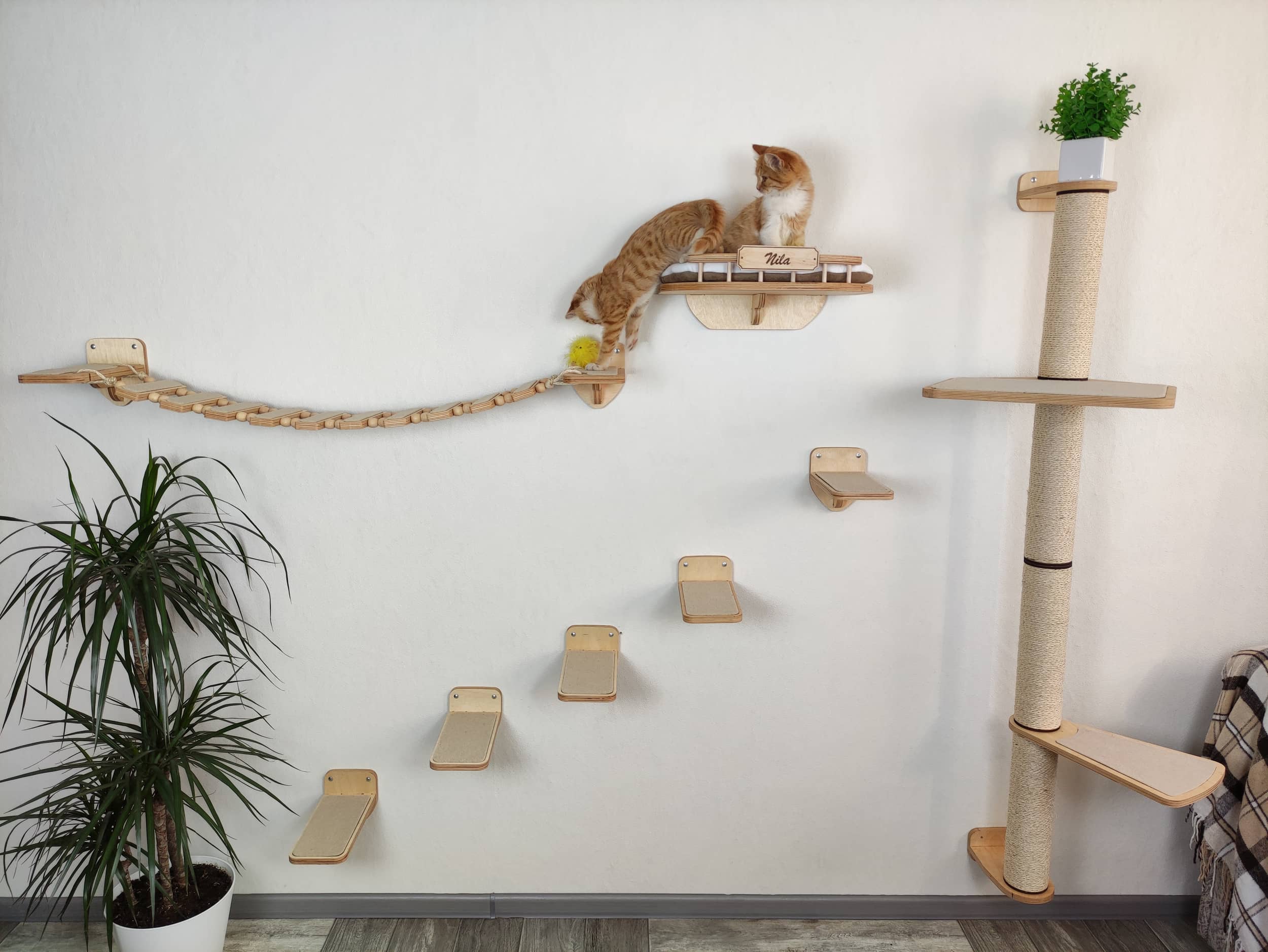 Bony Deluxe Cat Wall Mounted Lounge & Climb System - CatsPlay Superstore