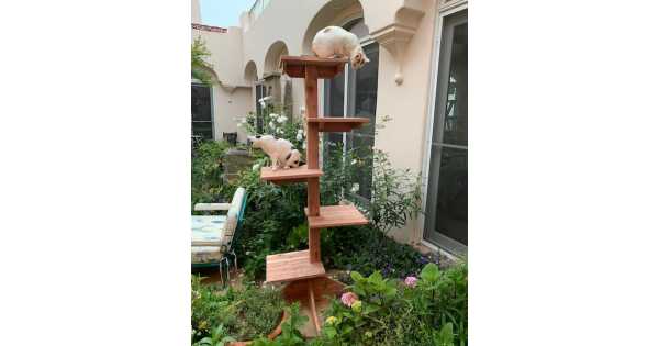 Cedar Duplex Cat House - CatsPlay Superstore