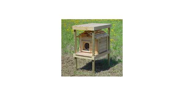 17 Inch Cedar Cat House With Platform And Loft Catsplay Superstore