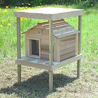 20 Inch Cedar Cat House With Platform, Loft - Catsplay Superstore