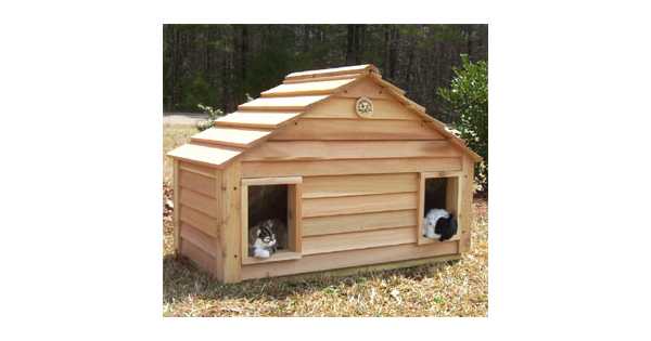 free cat house