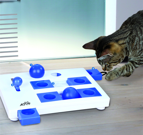 cat brain toys