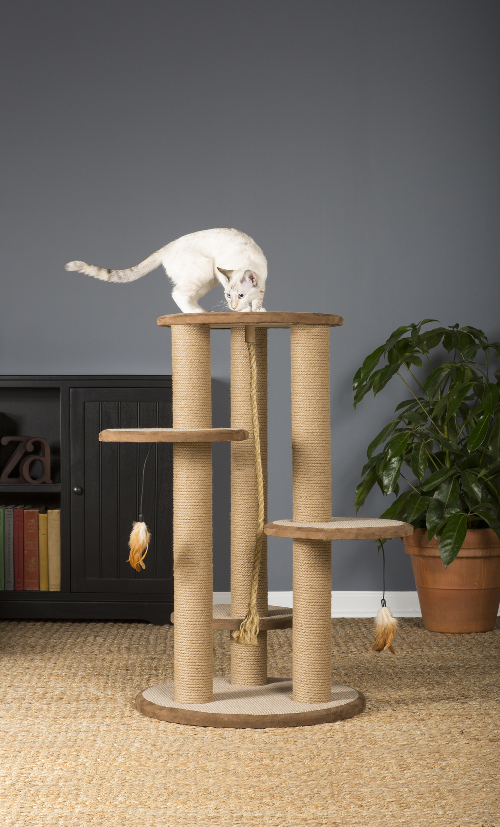 Cat Power Multi Tier Cat Scratching Tree 7150 CatsPlay Superstore