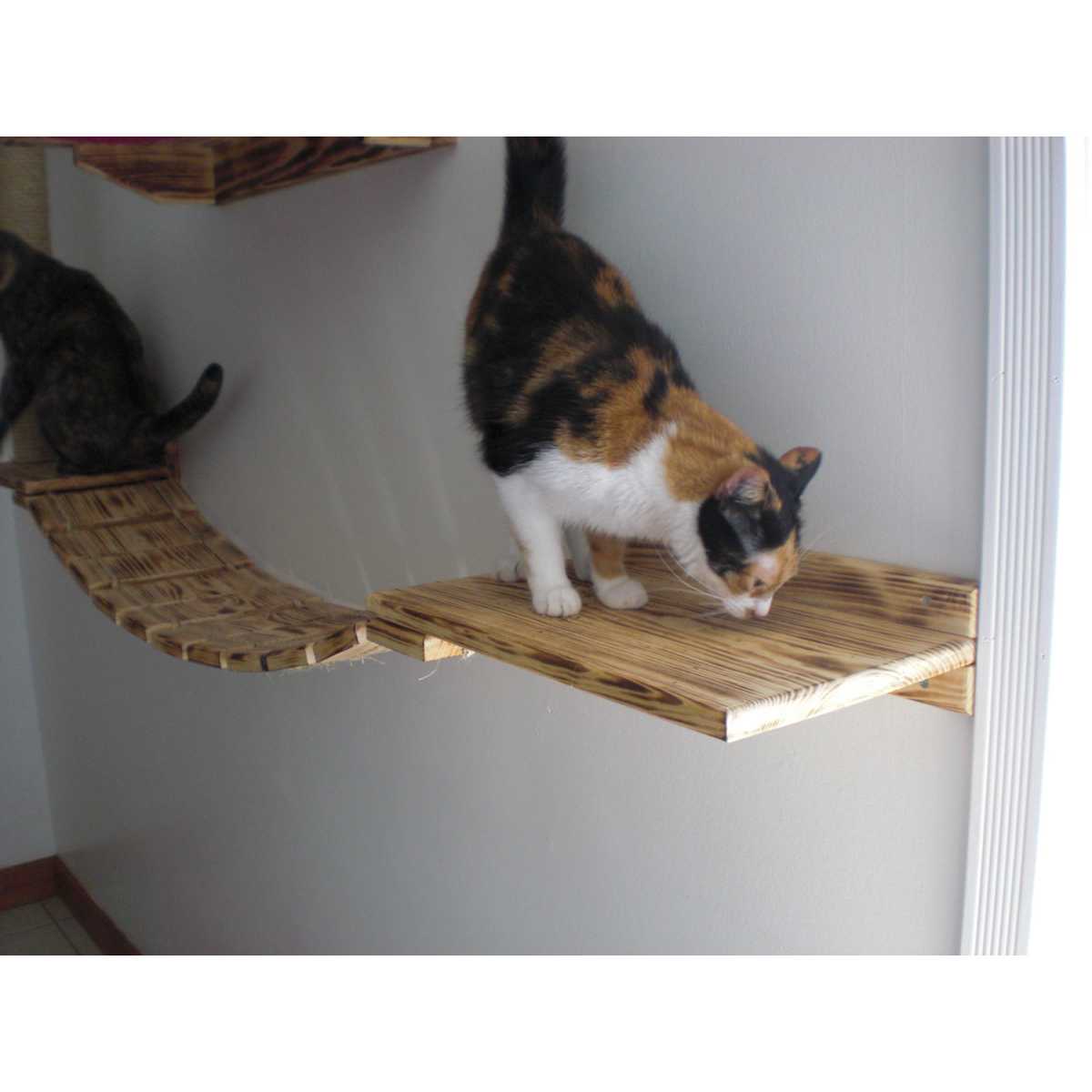 Cat Wall Walkway - CatsPlay Superstore