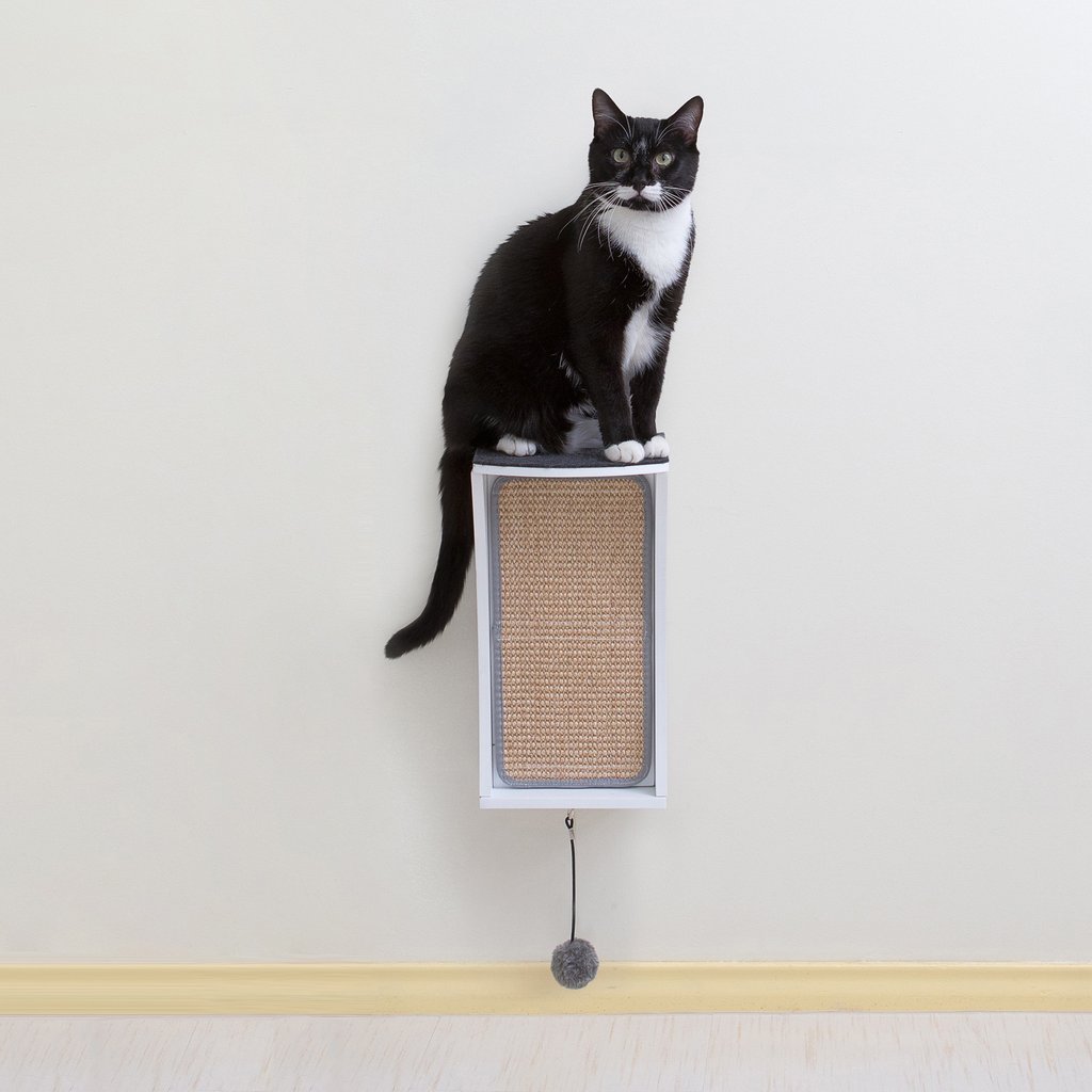 Modern Cat Wall System 3 Piece Combo Kit - CatsPlay Superstore