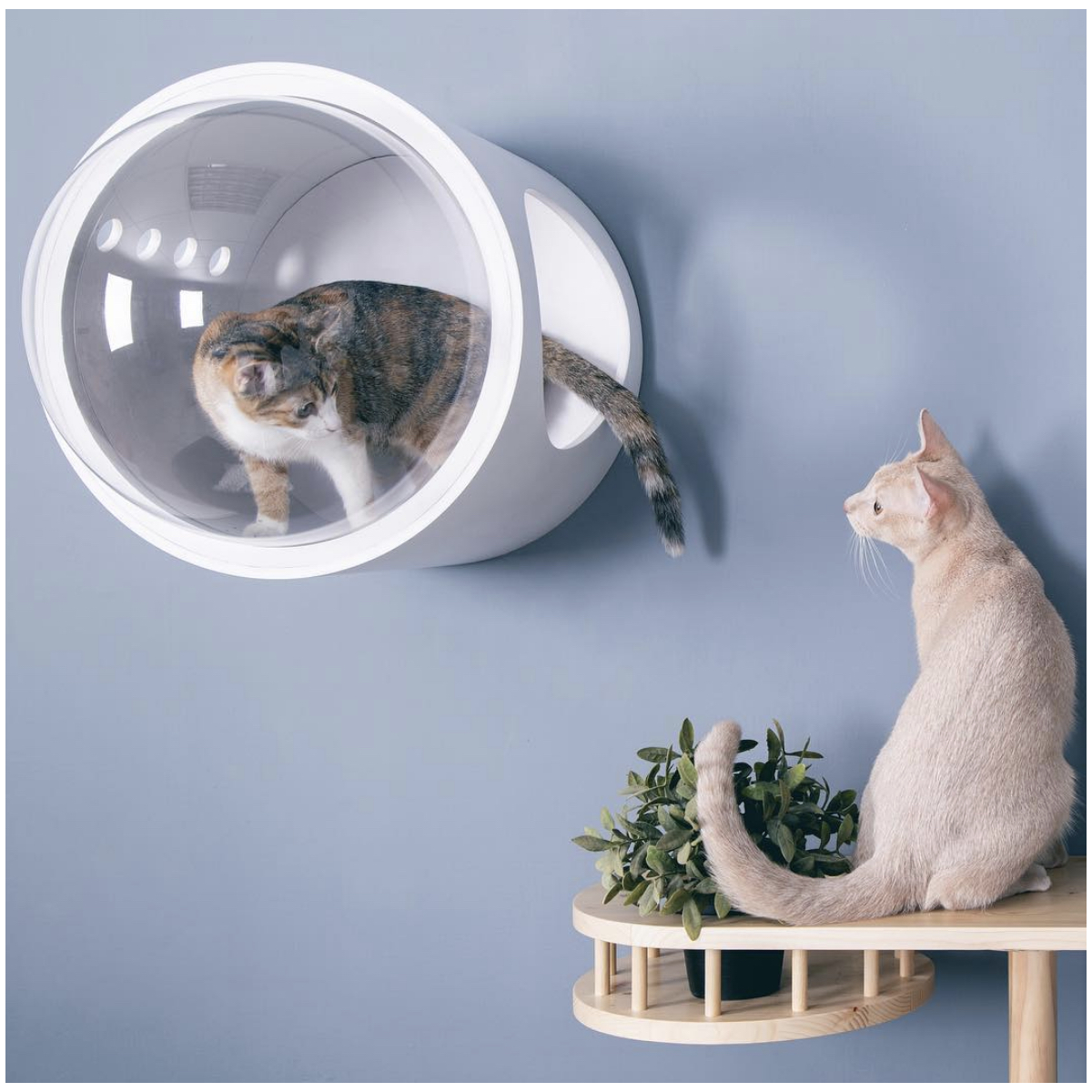 Spaceship Gamma Ultra Modern Cat Bed or Wall Mounted Bed ...
