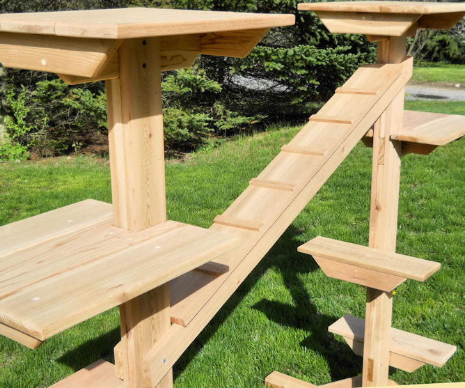 Outdoor Or Indoor Cedar Cat Gym Catsplay Superstore