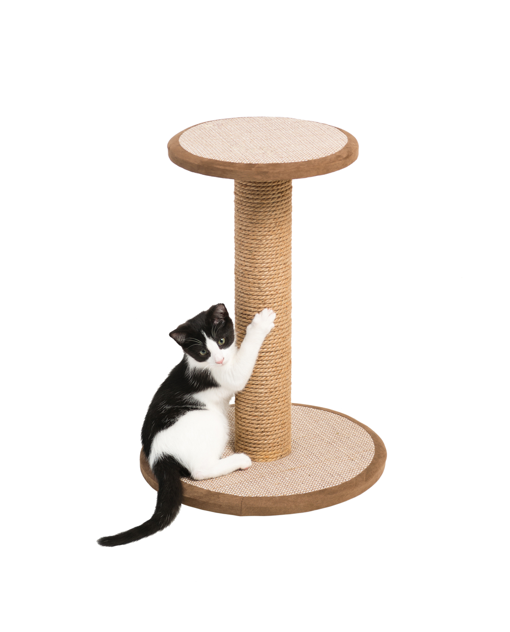 Cats Town Round Sisal Scratching Post with Platform - CatsPlay Superstore