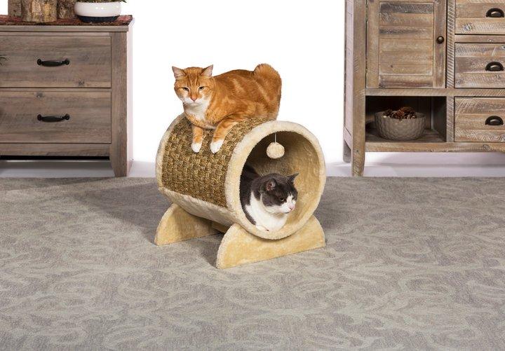 best cat tunnel