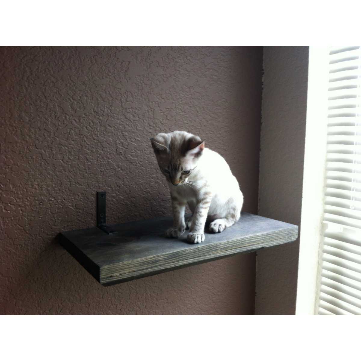 CatastrophiCreations Stained Wooden Cat Wall Shelf - CatsPlay Superstore