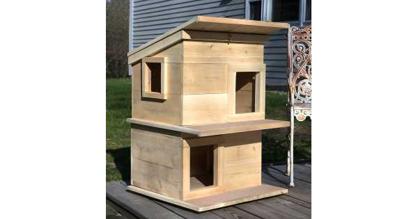 Outdoor Cedar Cat Wall System: Perch - CatsPlay Superstore