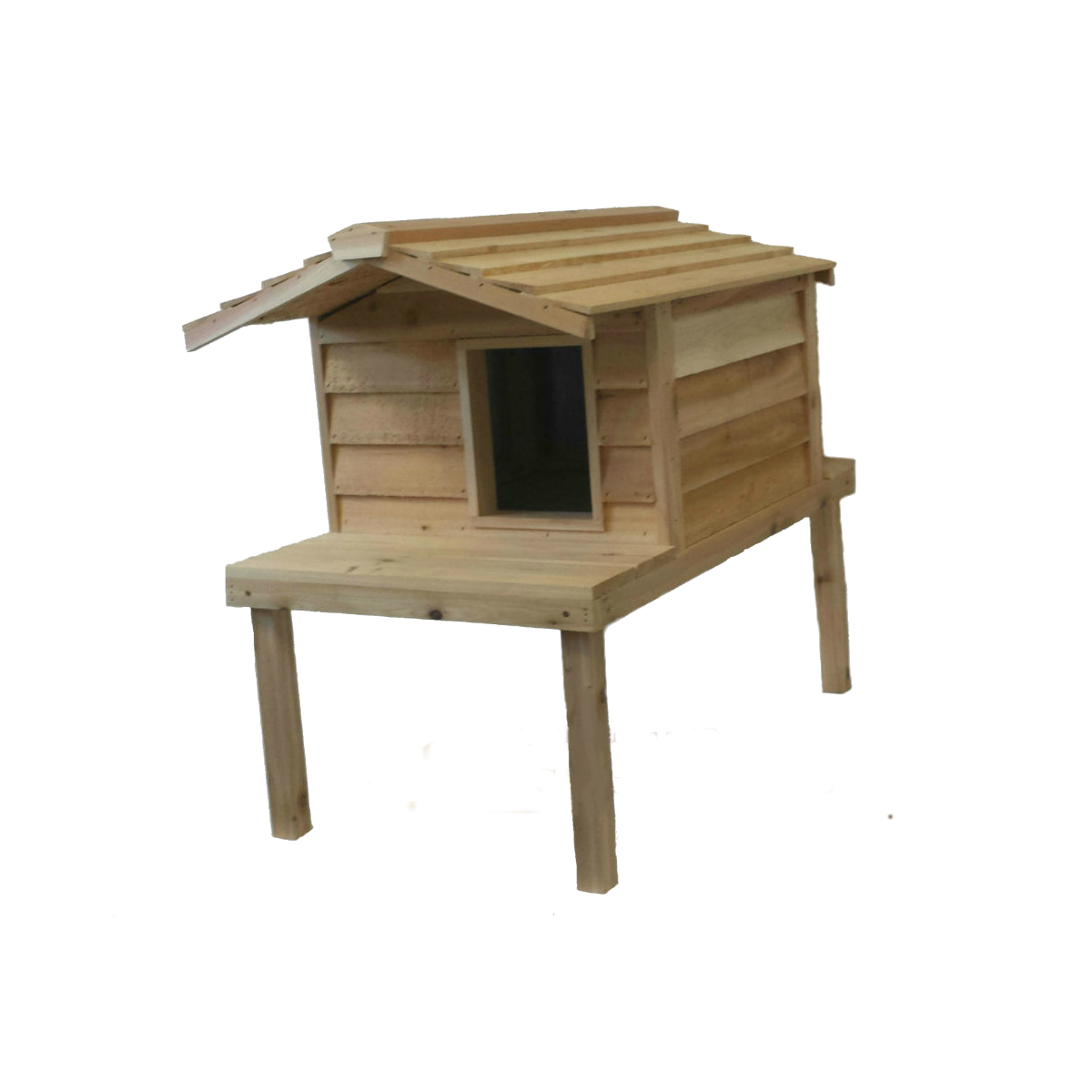 dog house with roof deck