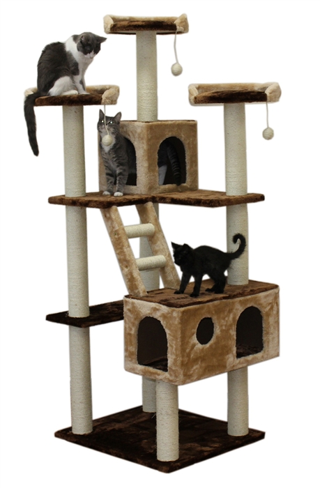 cat play gym kmart