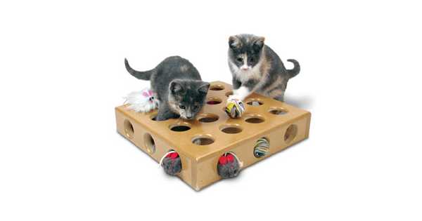 smart cat peek a prize toy box