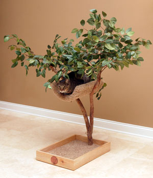 Sprout Lifelike Cat Tree - CatsPlay Superstore