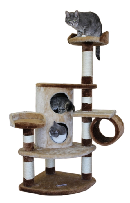 cat play gym kmart