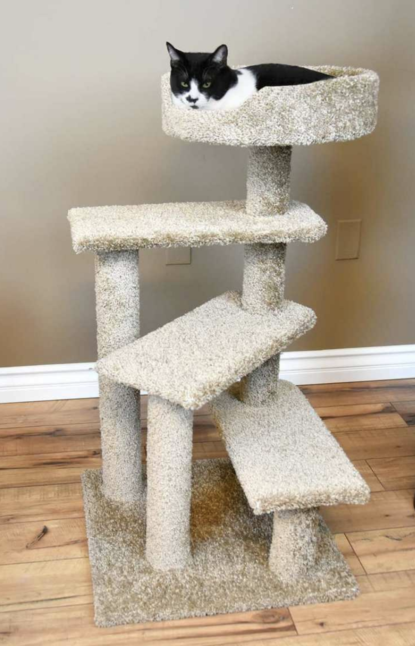 A cozy, cushioned perch on a custom cat tree, perfect for relaxing cats